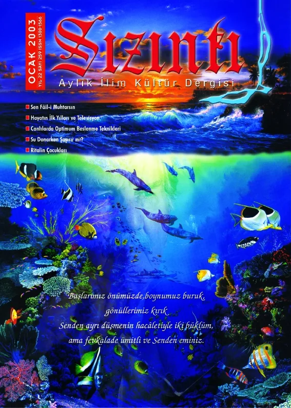 Ocak 2003, Ön kapak